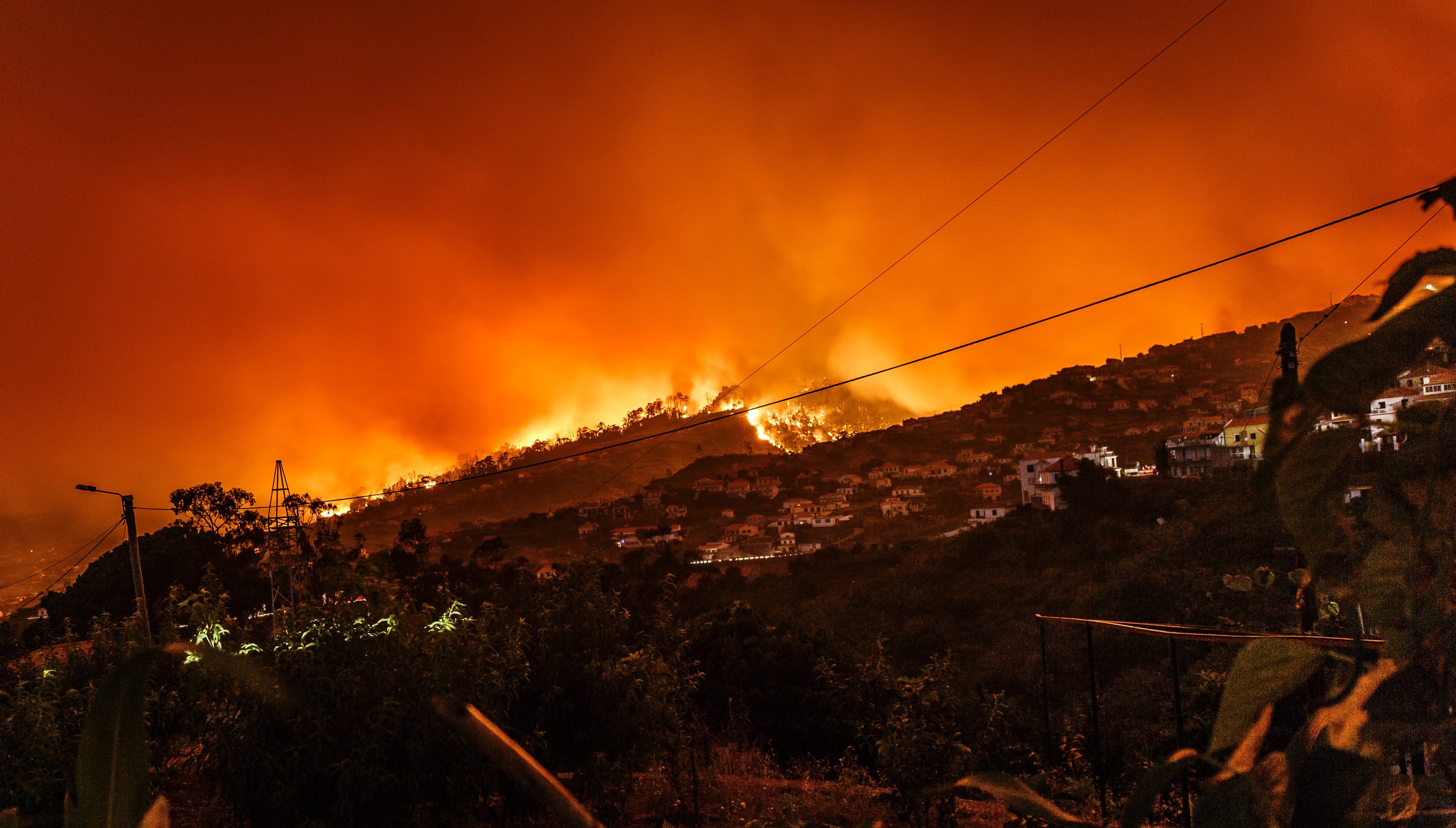 The current situation of climate change integration in Trentino