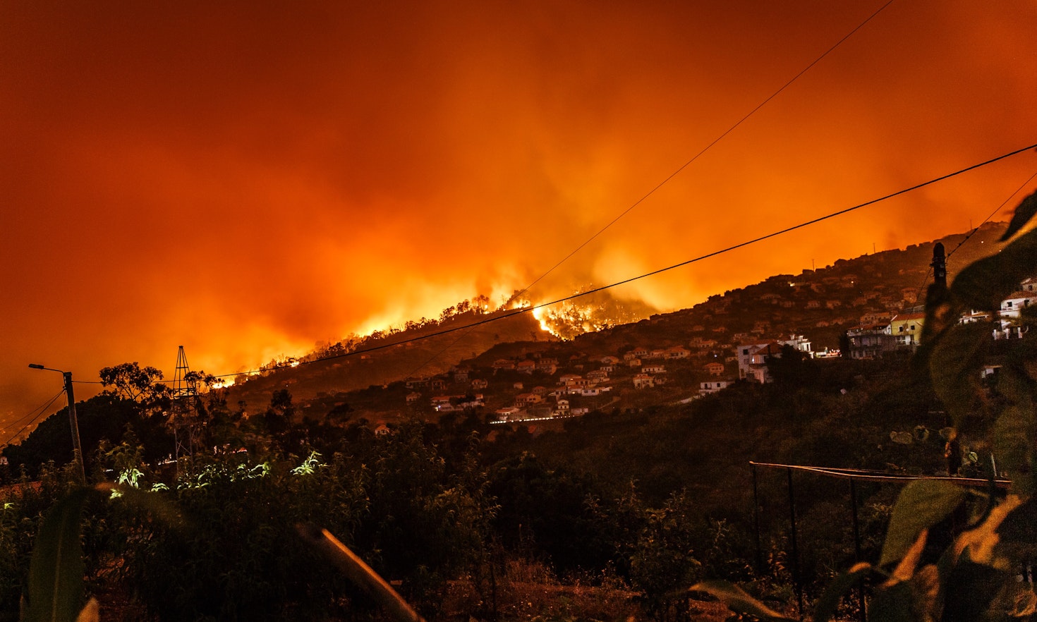 The current situation of climate change integration in Trentino