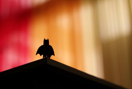 Federal loyalty and superheroes: a fairy-tale without a happy ending