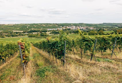 Migrazioni, agricoltura e sviluppo rurale