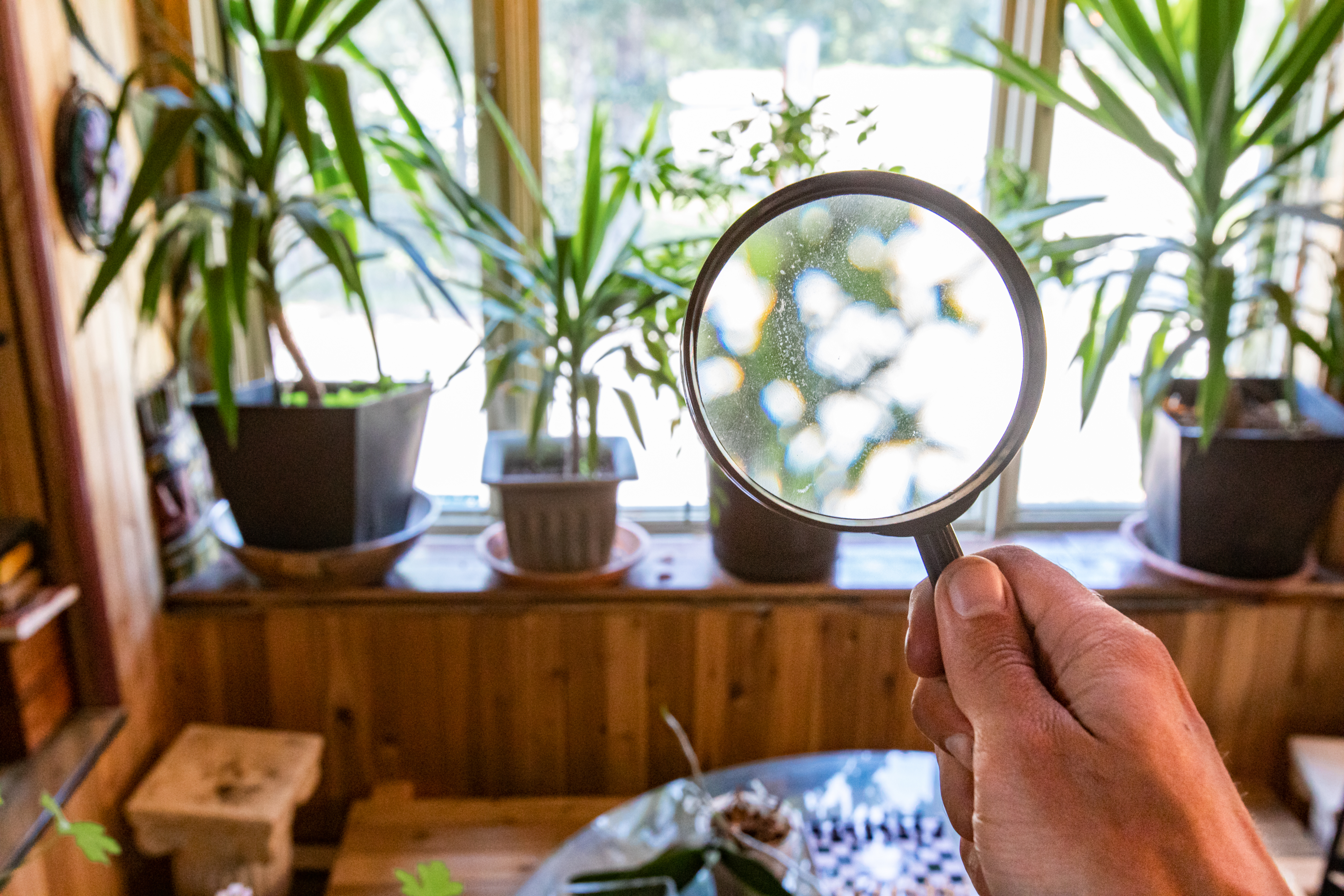 Things you need to know about the air we breathe in our homes