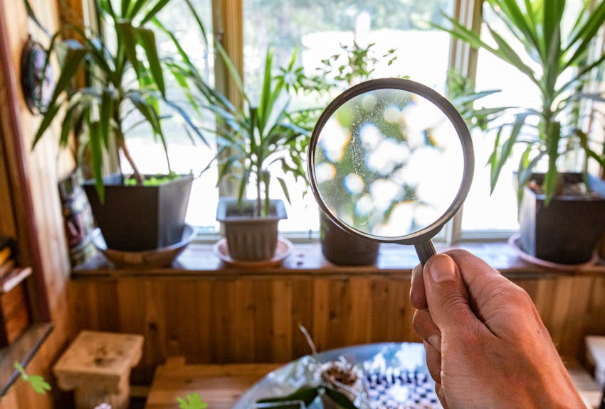 Things you need to know about the air we breathe in our homes