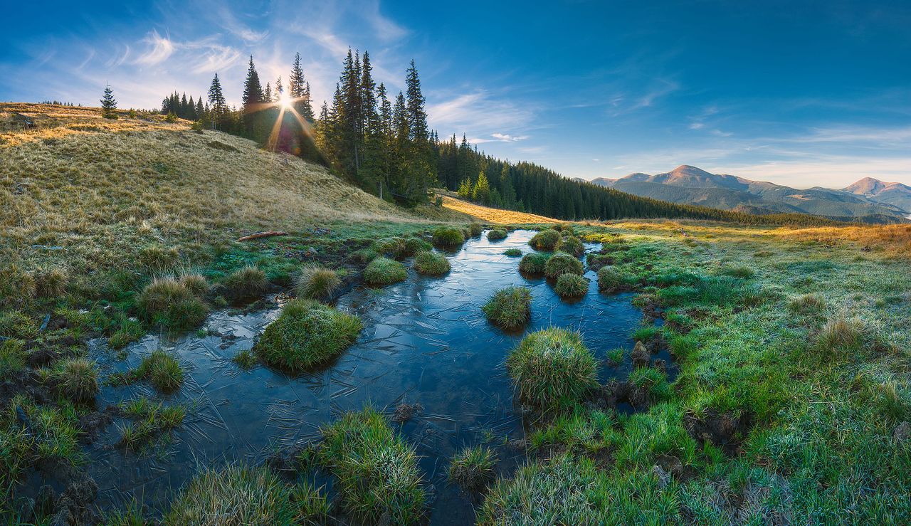 Cooperation key to overcoming threats in the Carpathians