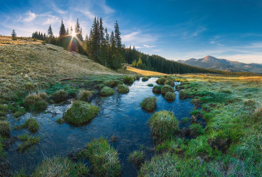 Cooperation key to overcoming threats in the Carpathians