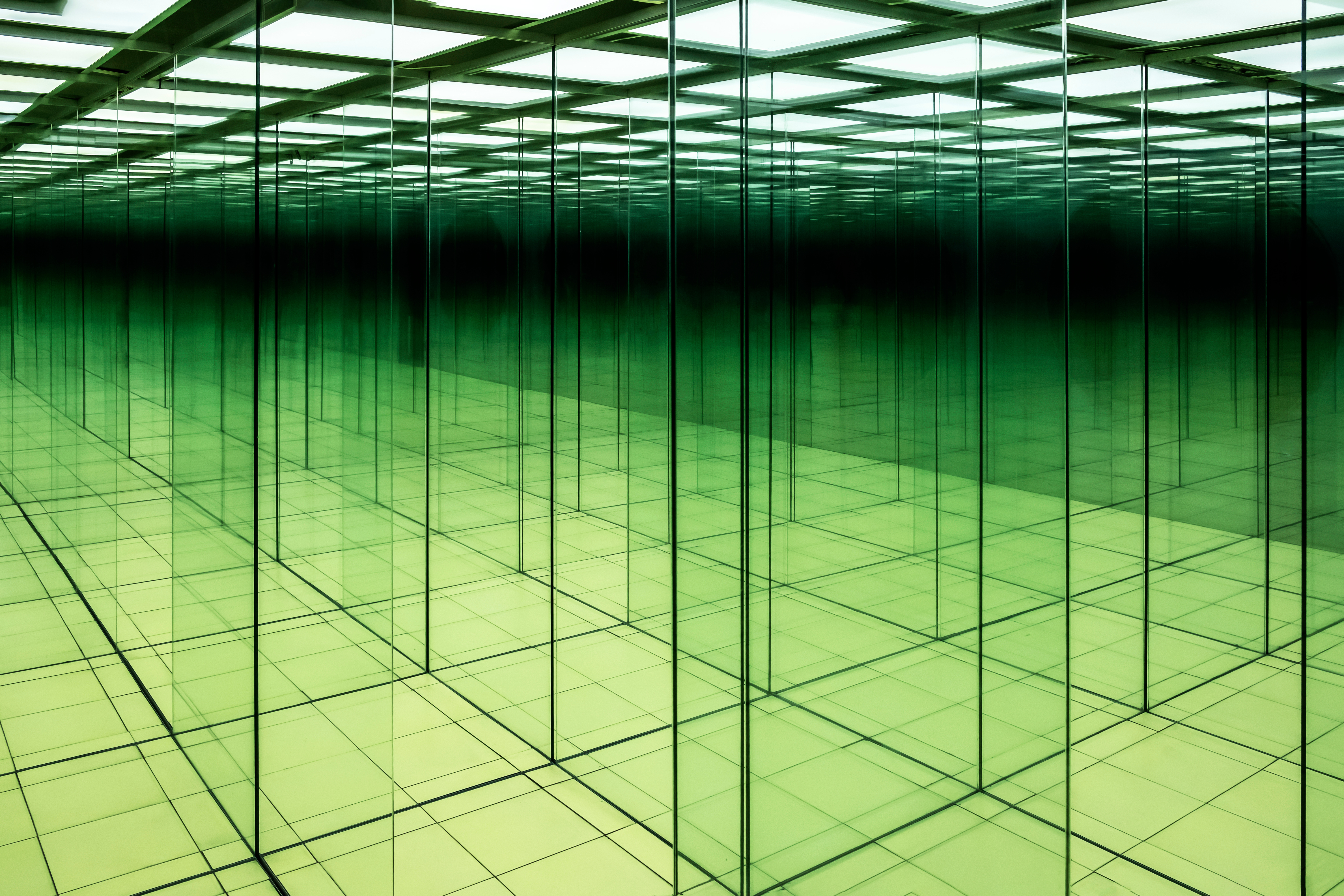 The infodemic is a mirror of the pandemic
