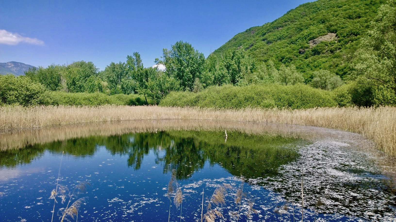 Mappare la natura