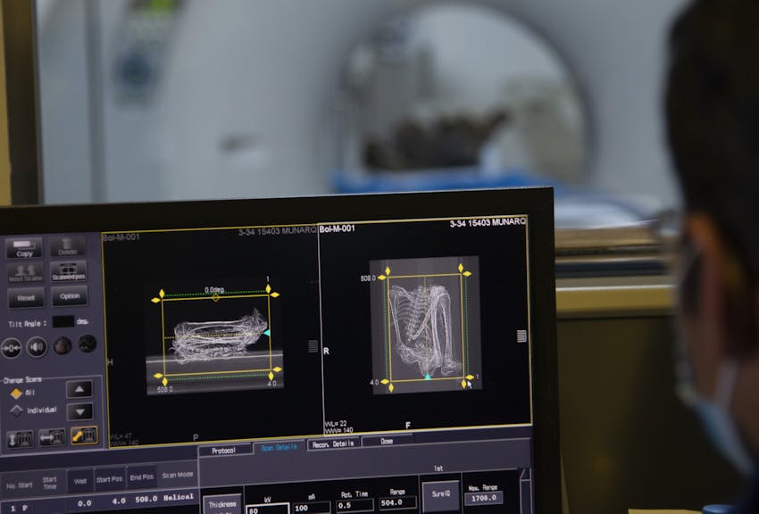 New technology for Bolivia's ancient mummies