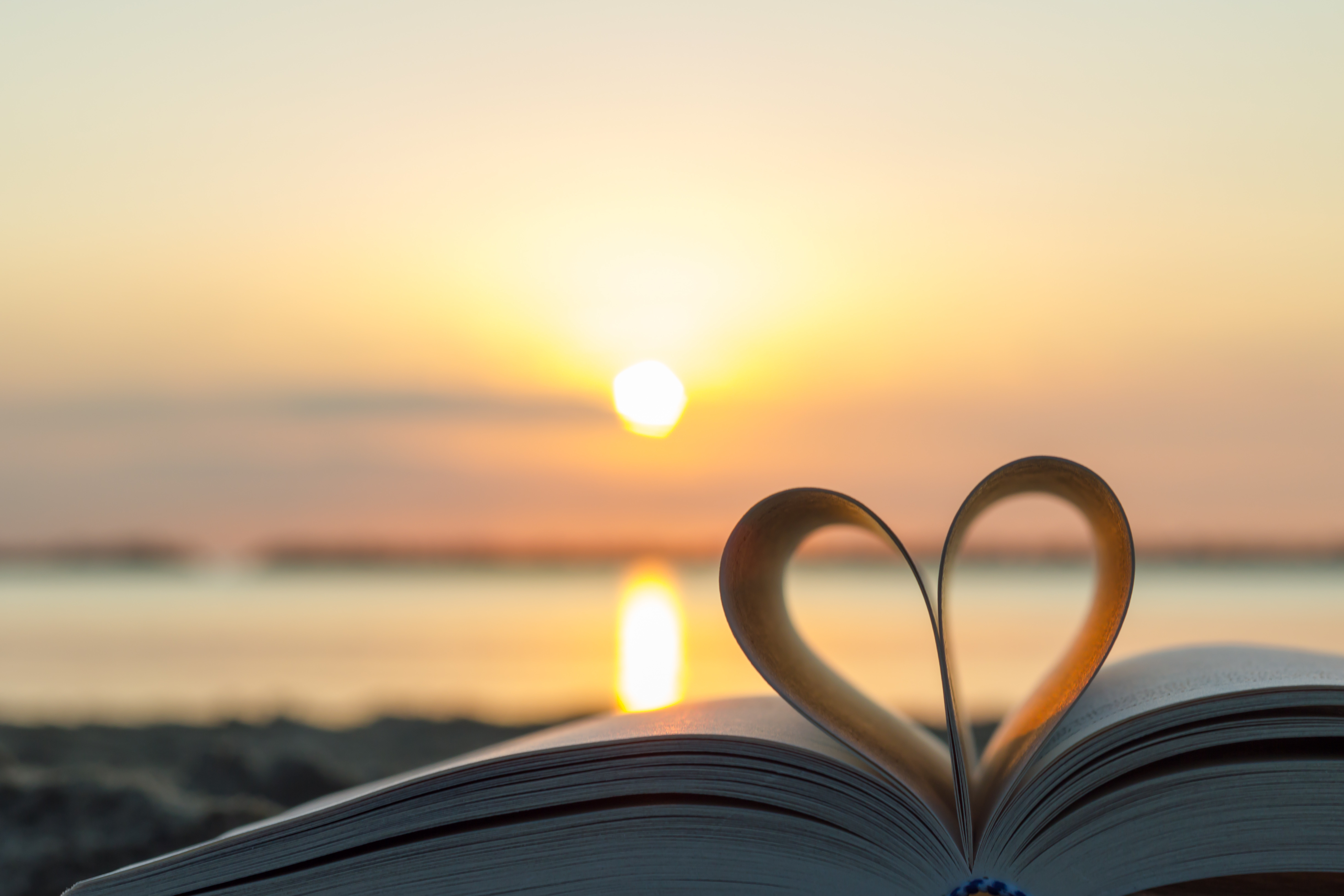 Se son rose… finiranno nel dizionario