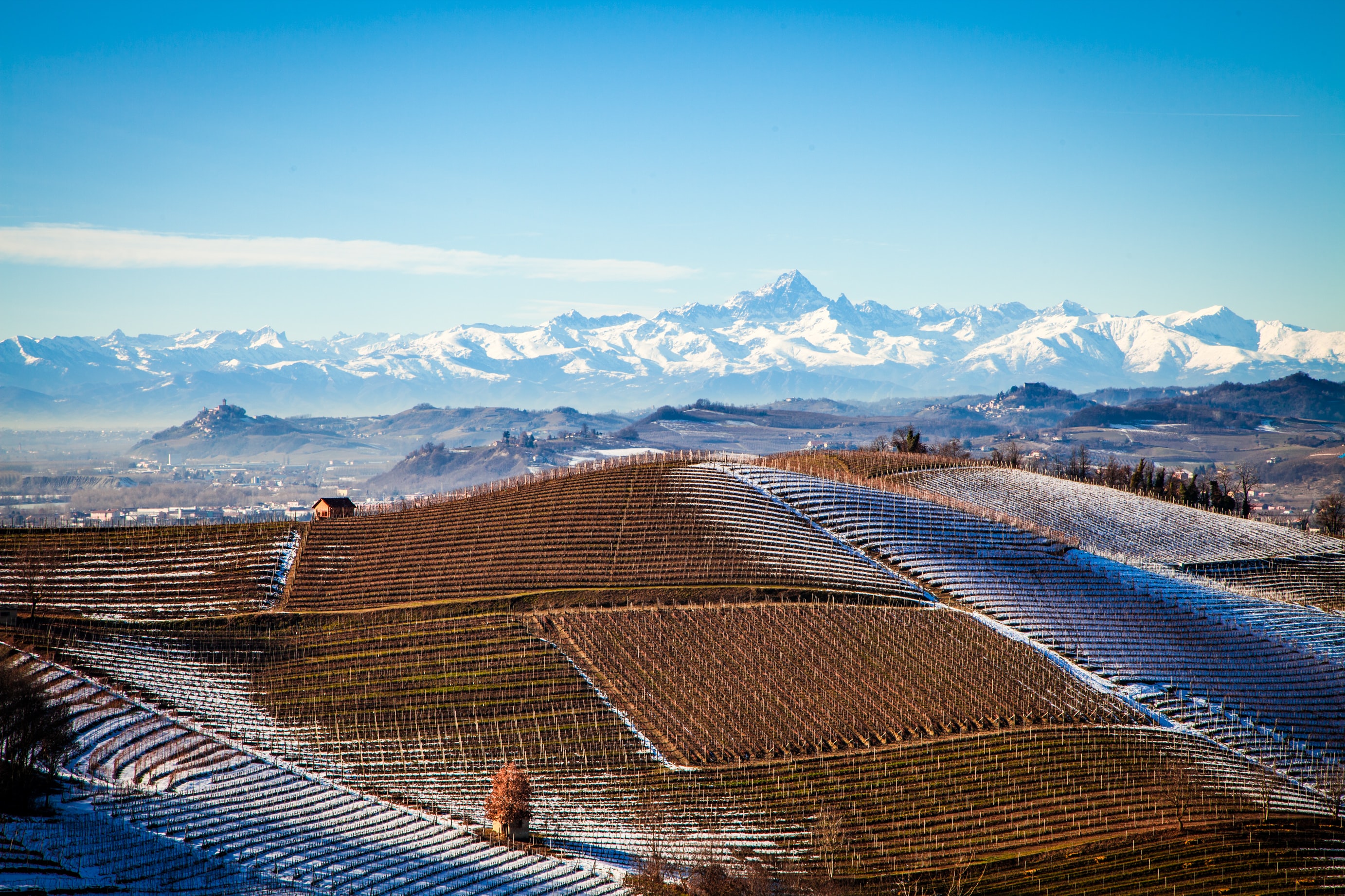 Provence and Piedmont: About Multiple, Shifting and Forged Identities