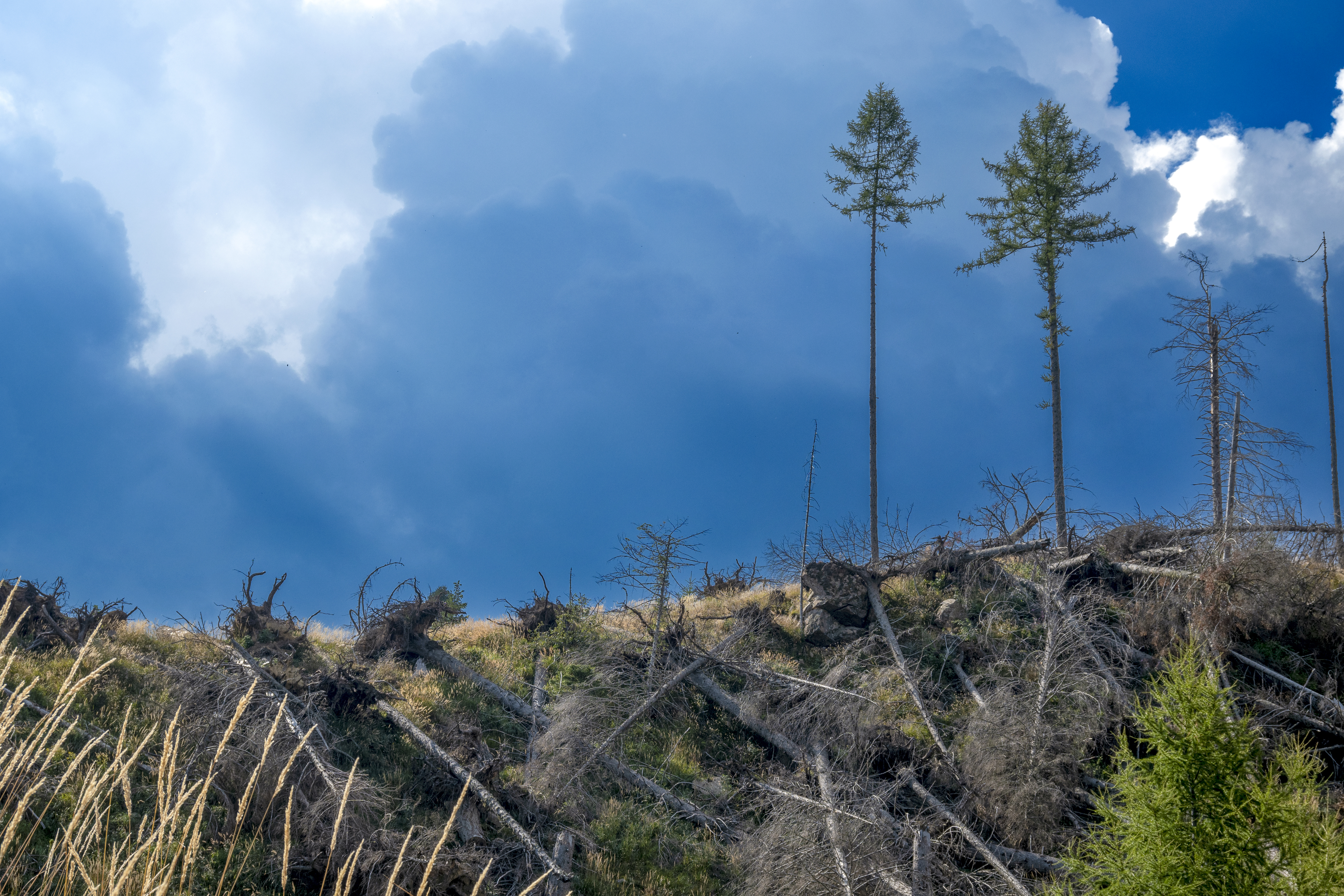 What is an extreme event?