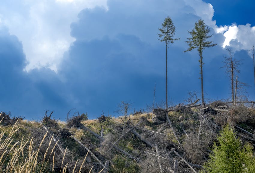 Was ist ein Extremereignis?