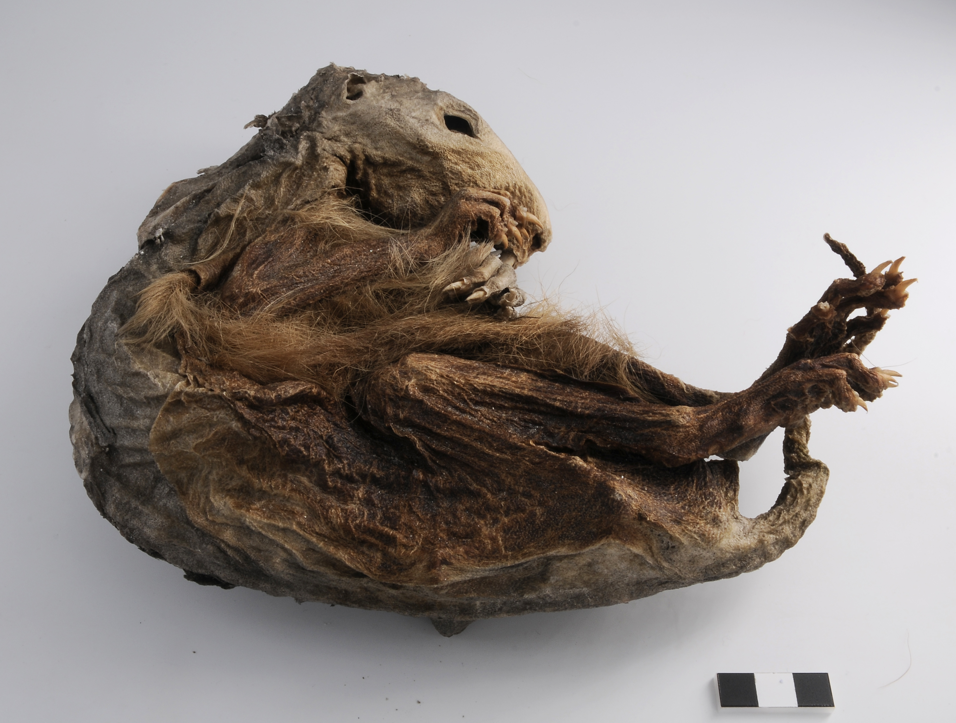 6.600 Jahre – und gut gehalten