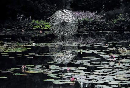 Dinamica collettiva, arte e sensibilità ambientale