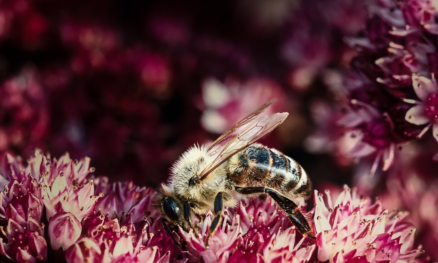 The 2022 UN Biodiversity Conference: achievements and shortcomings