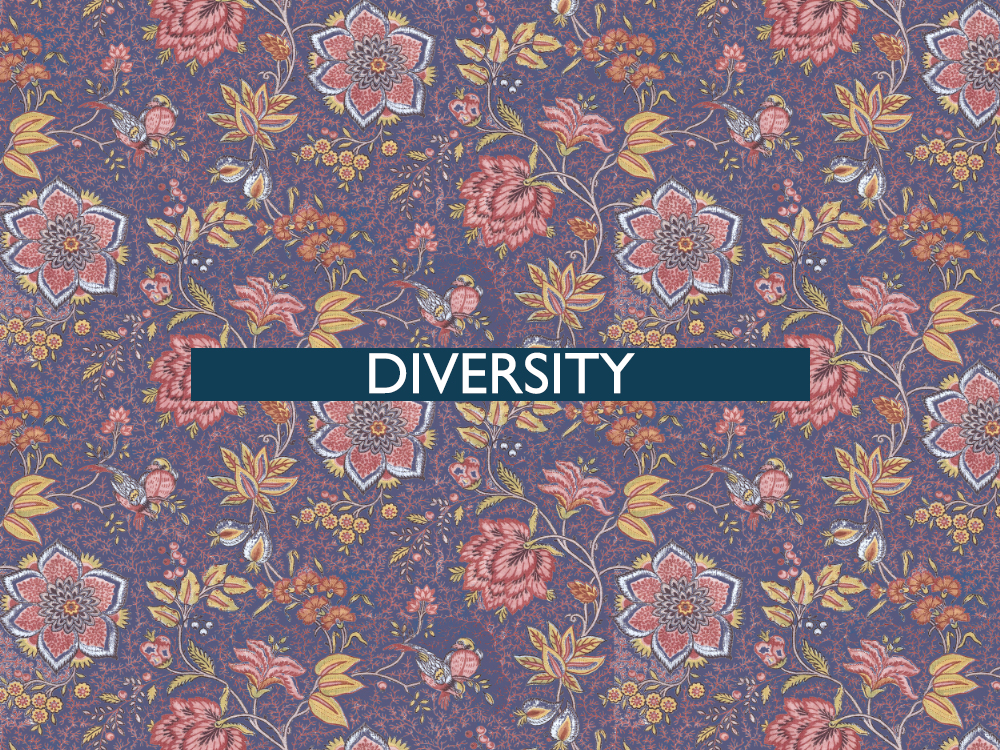 The 22nd of all EU-r rights: diversity and how the Charter contributes