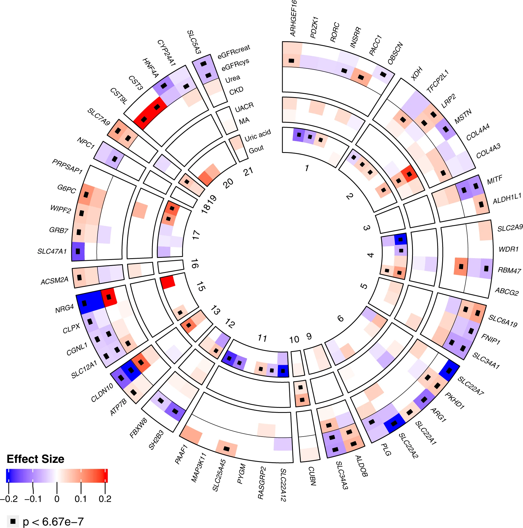 Identification of genes associated with kidney function and disease ...