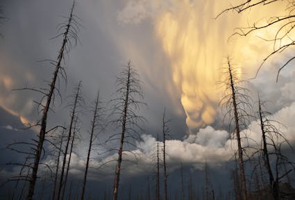 Seeking bolder and stronger climate action: A historic UN resolution requests the ICJ to issue an opinion on climate obligations