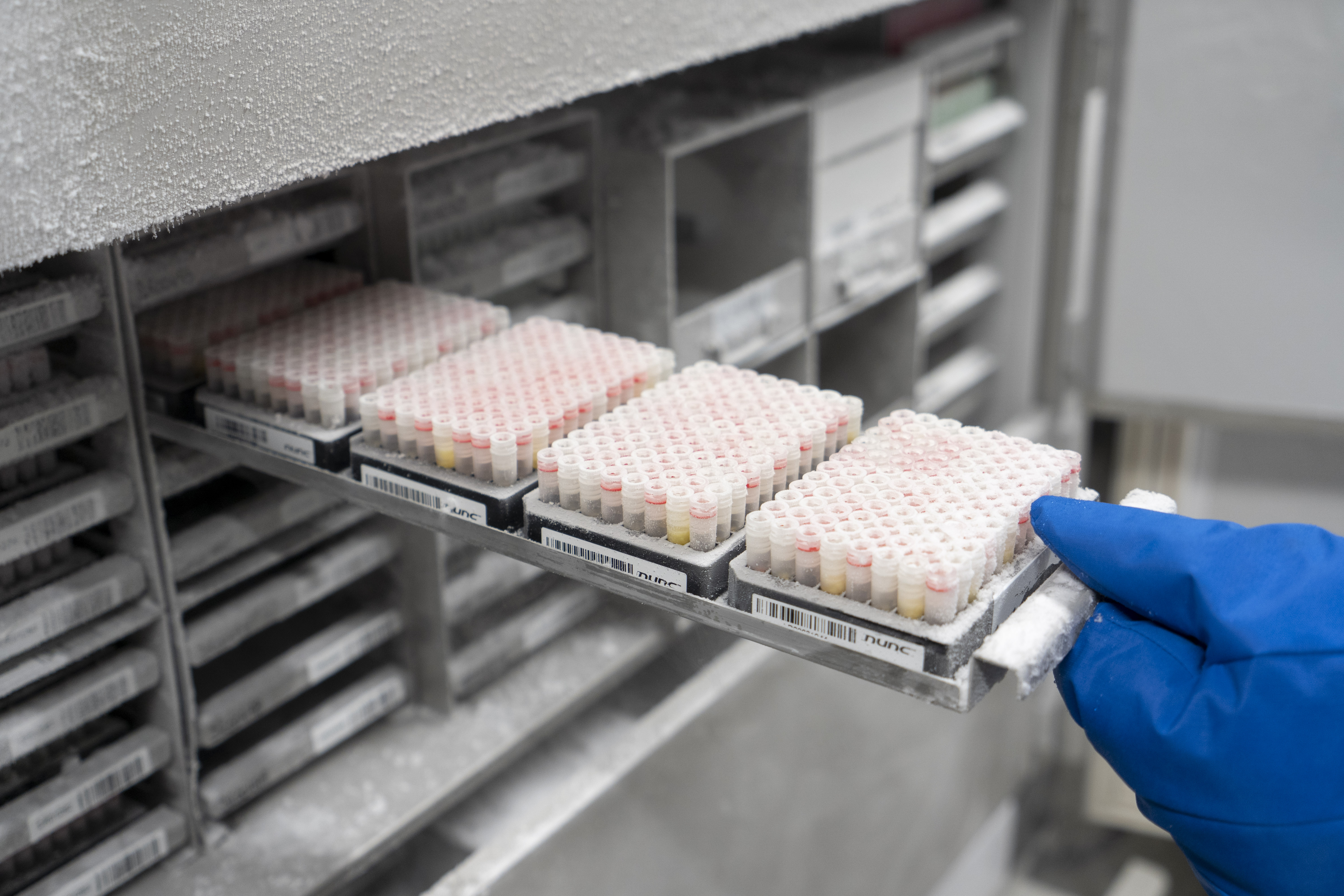 Wozu dienen Biobanken?