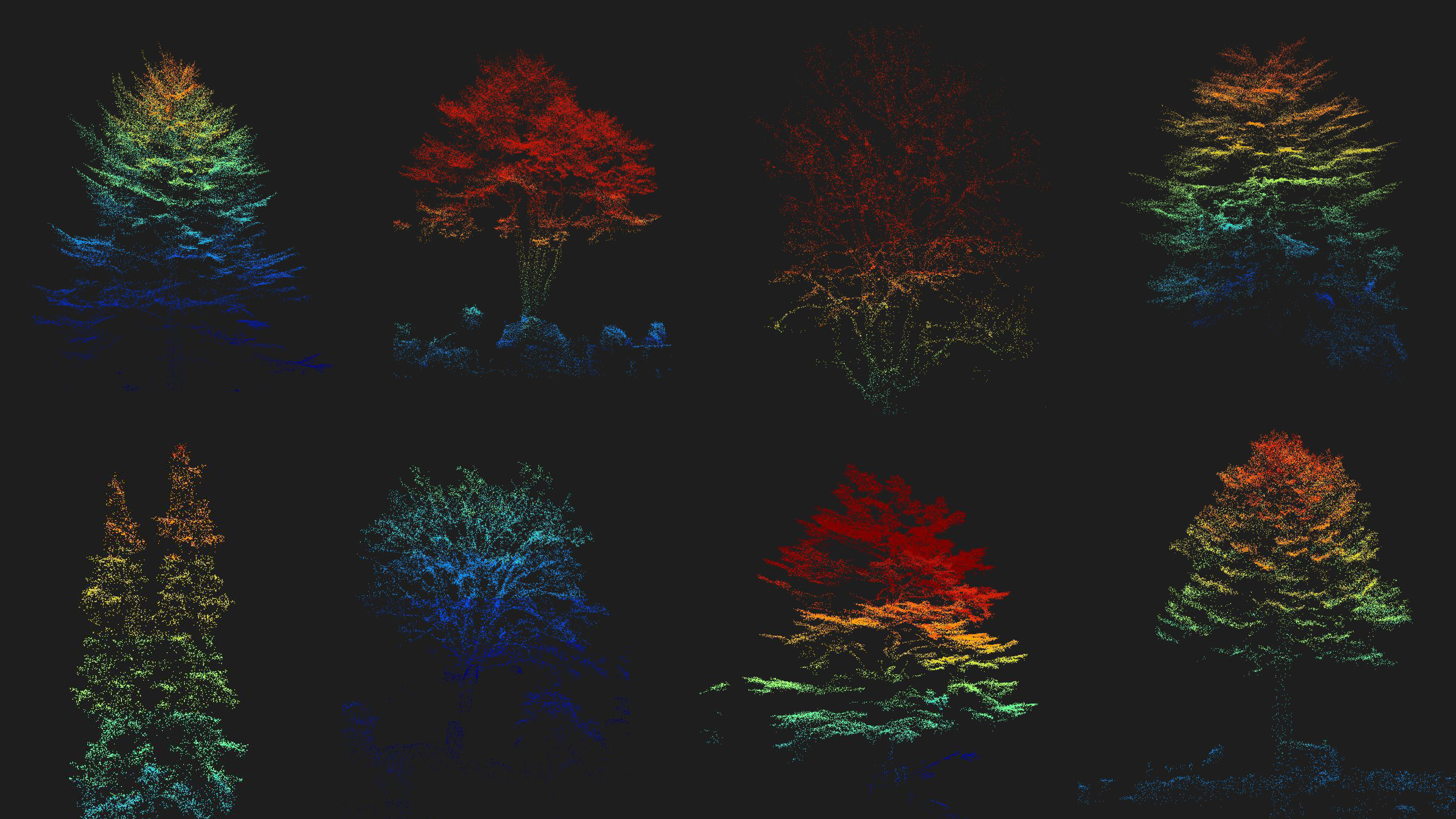 Ein Bild von jedem Baum