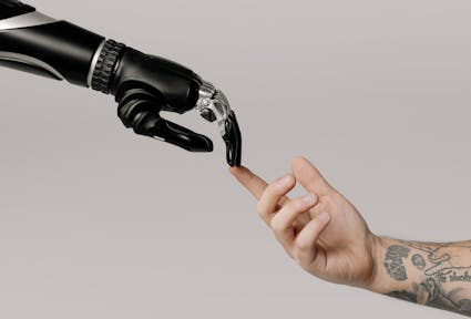 Humans and robots