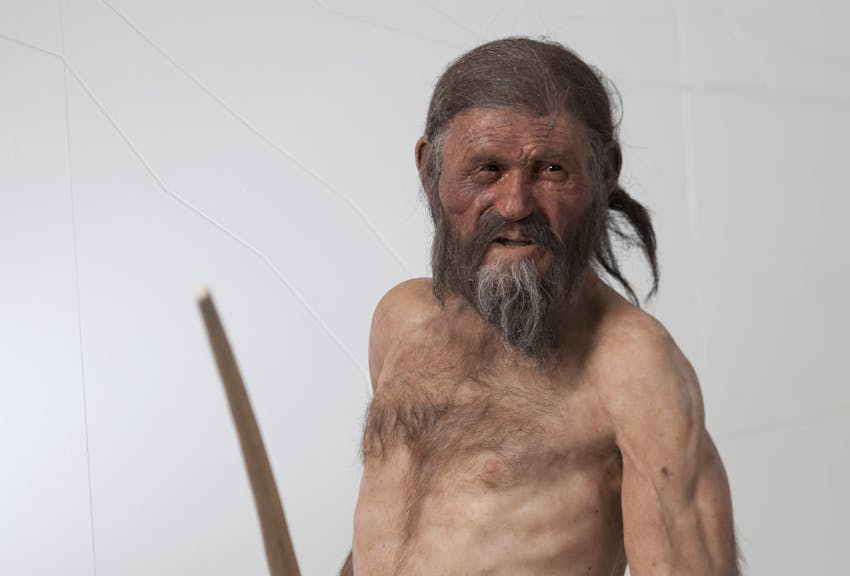 „Dass Ötzi zu 92 Prozent Anatolier ist, wird viele vielleicht doch überraschen”