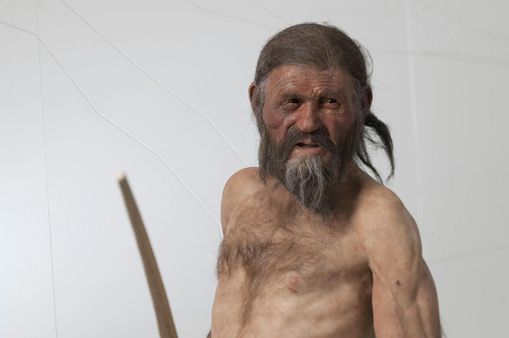 „Dass Ötzi zu 92 Prozent Anatolier ist, wird viele vielleicht doch überraschen”