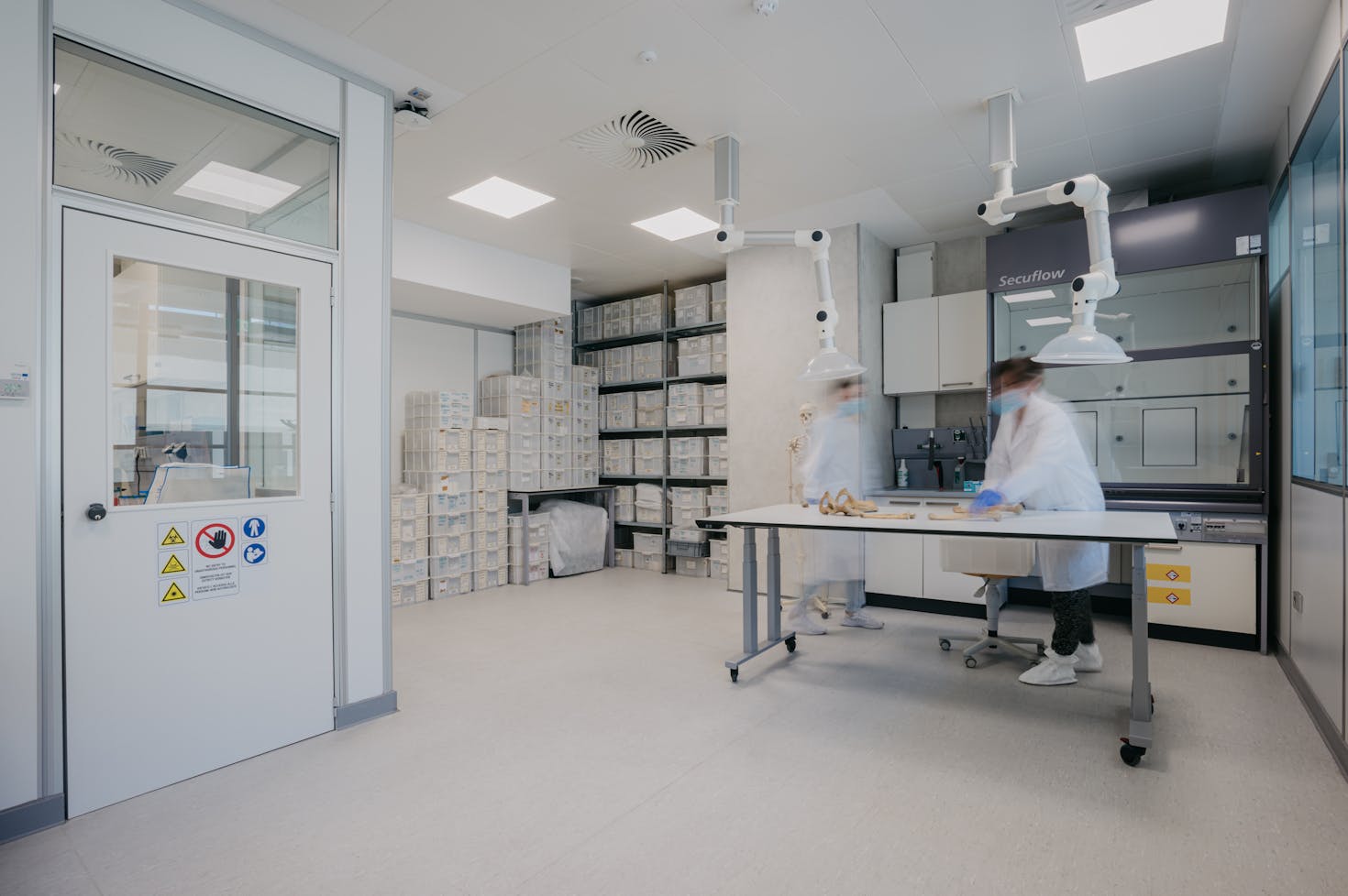 Anthropology Lab