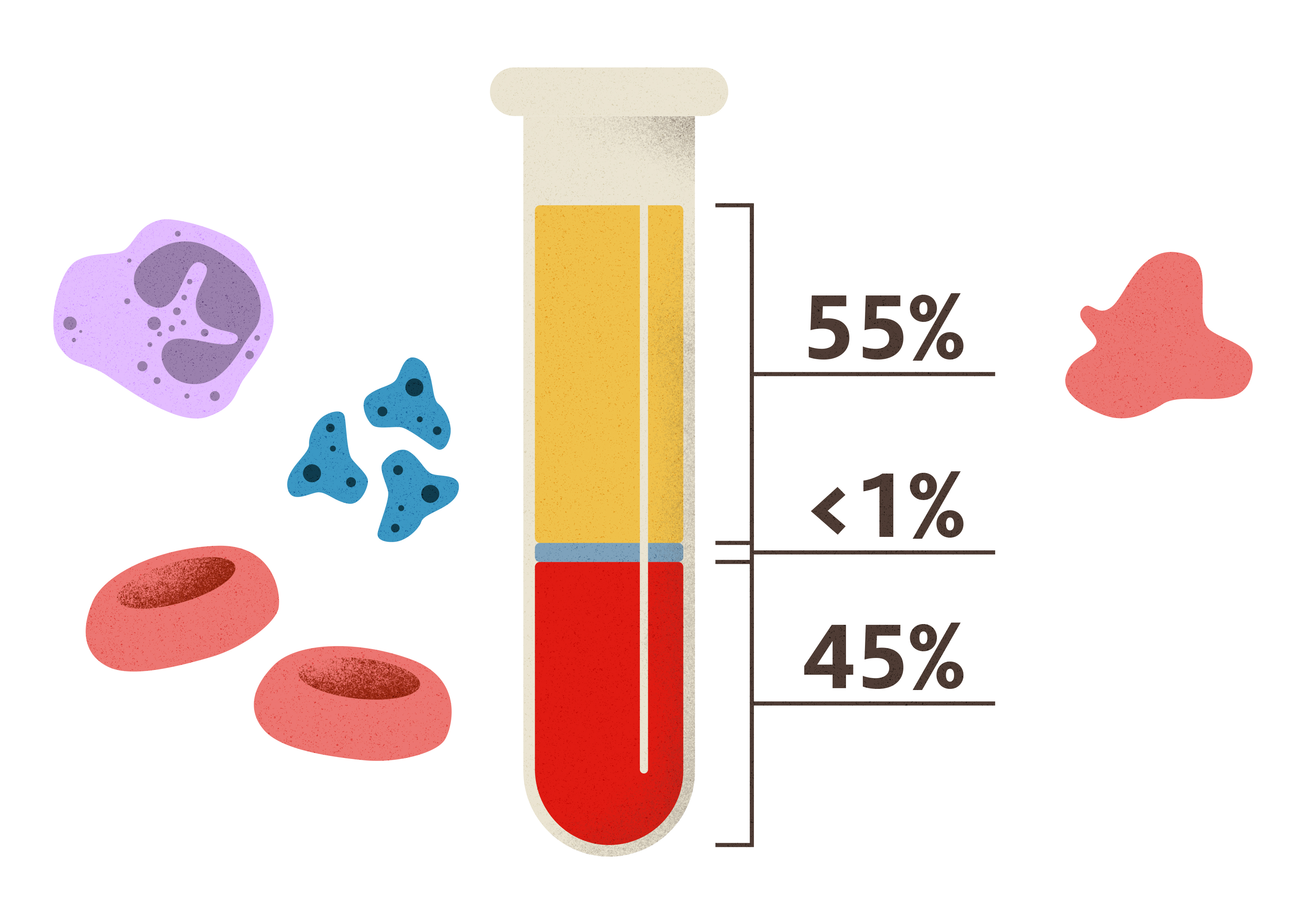 So, what’s a biobank actually for? - Eurac Research