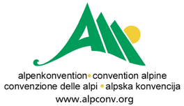 Coordinator​ of the Italian Delegation | Platform on Energy
