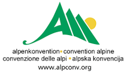 Coordinator of the Italian Delegation | Platform on Energy