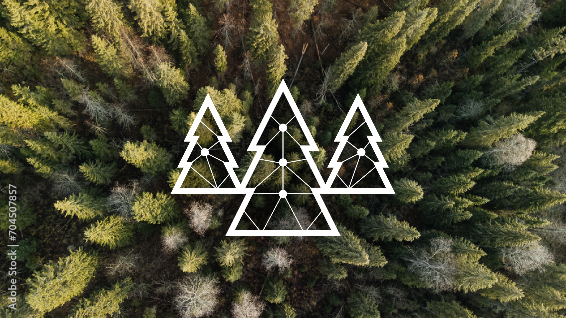 Digital twins for managing complex mountain scenarios 