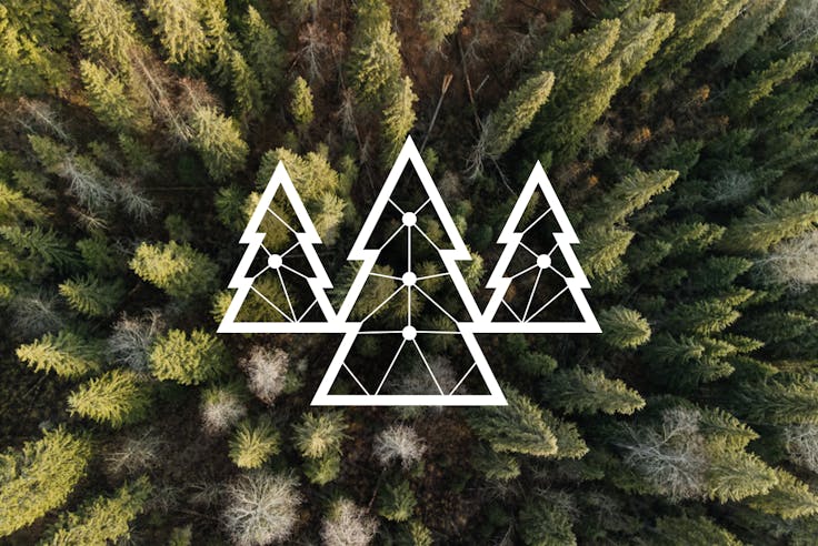 Digital twins for managing complex mountain scenarios