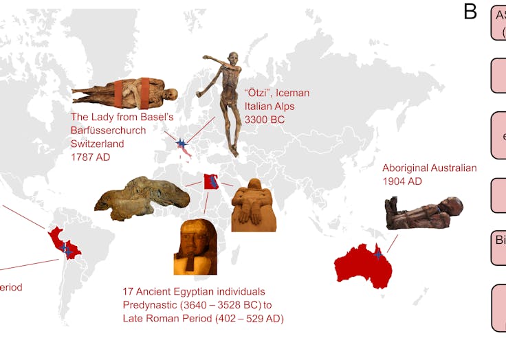 Genetic Predisposition of Atherosclerotic Cardiovascular Disease in Ancient Human Remains