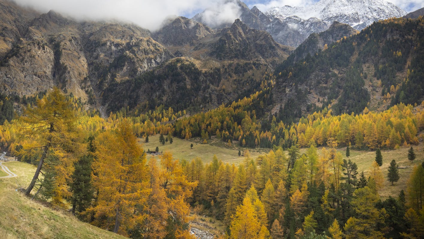 LTSER platform Val Mazia/Matschertal