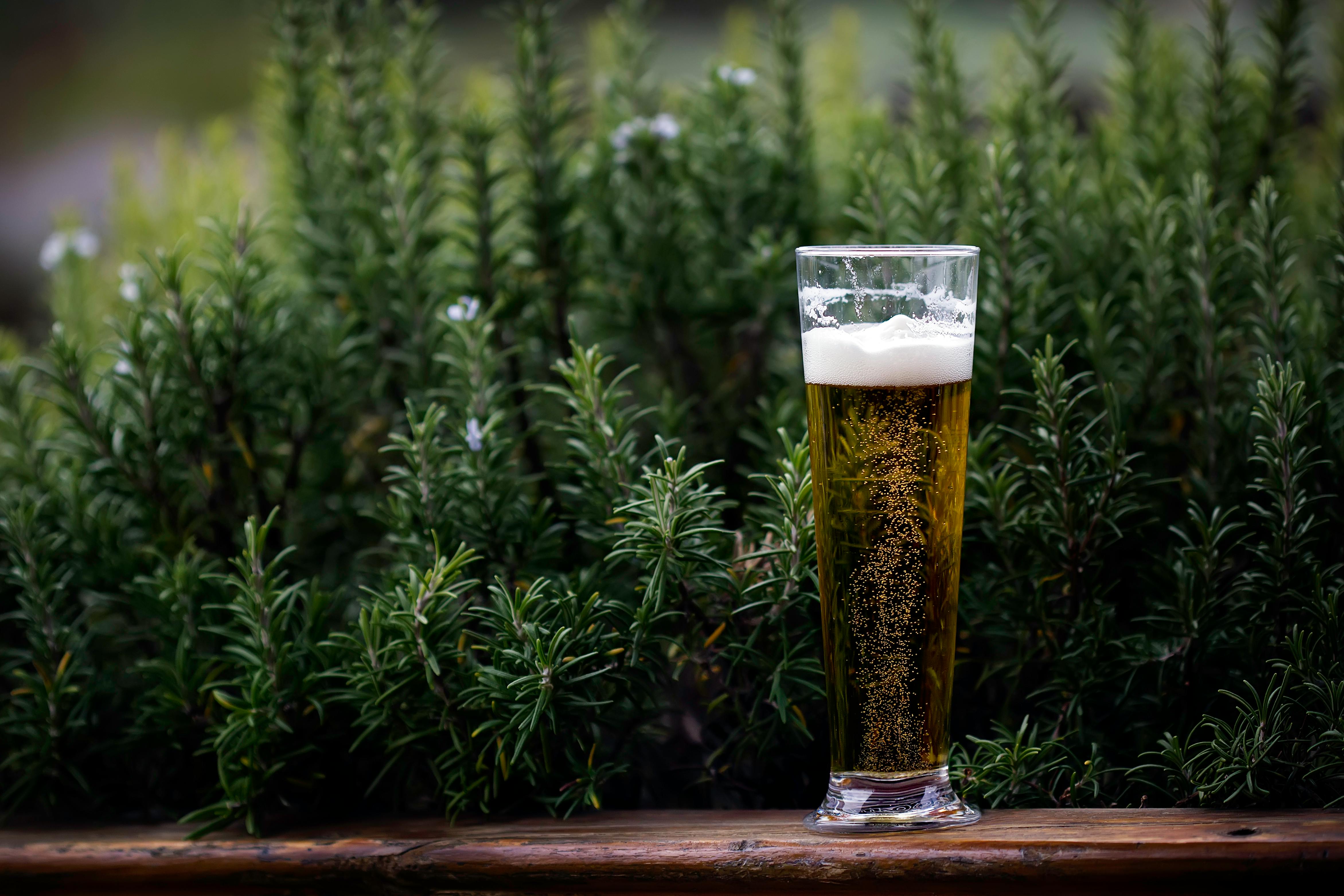 Die unerzählten Geschichten von Frau und Bier 