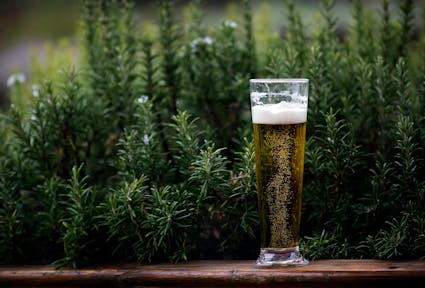 Die unerzählten Geschichten von Frau und Bier