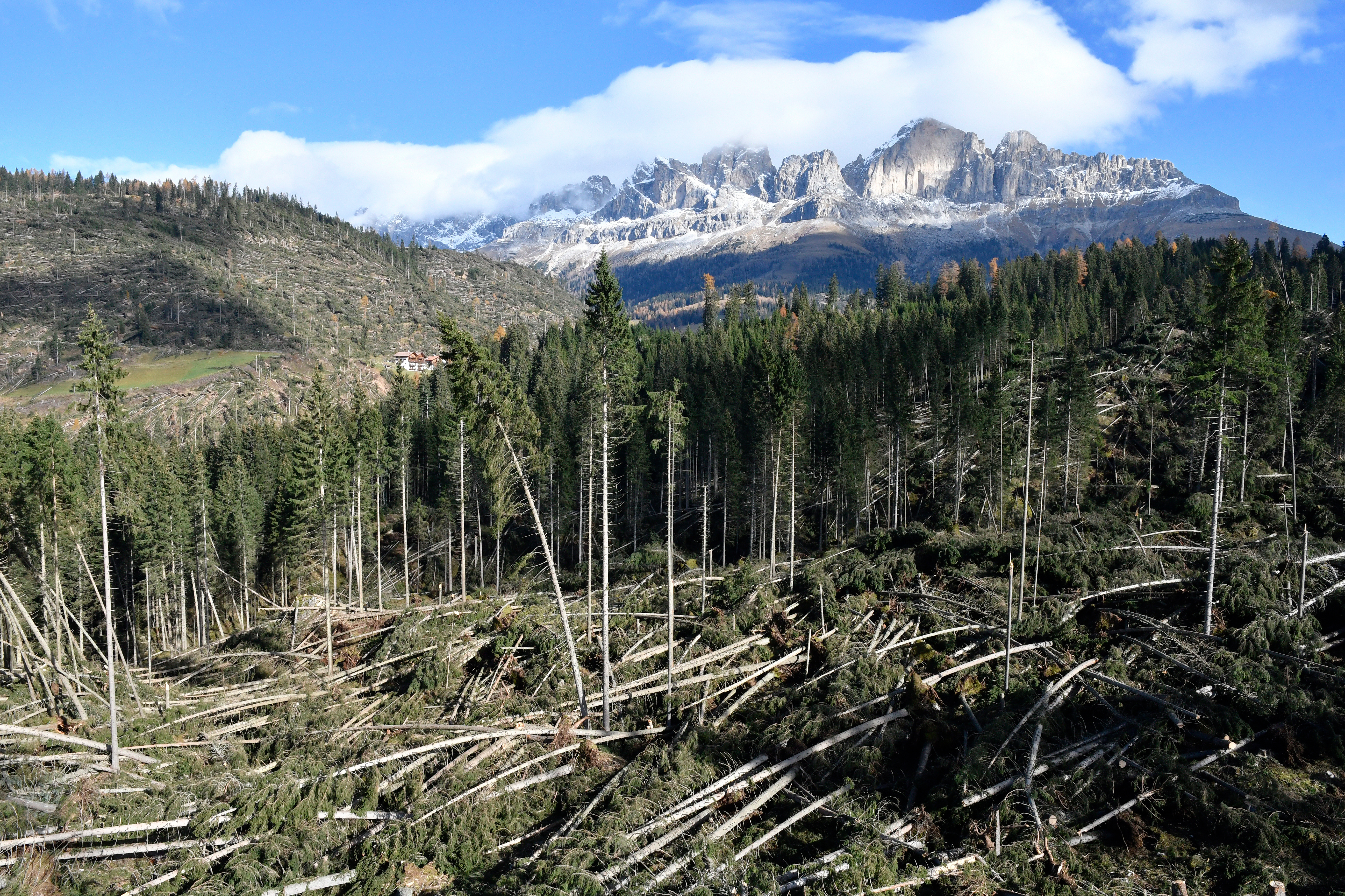 „70 Prozent haben vor den negativen Folgen des Klimawandels Angst“