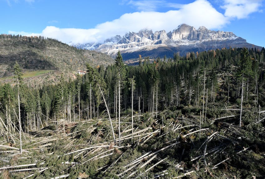 „70 Prozent haben vor den negativen Folgen des Klimawandels Angst“
