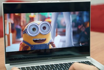 What is Minionese and why is it relevant for plurilingualism studies?