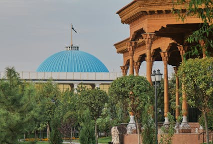 Exploring the right of minorities to participation: Lessons from Karakalpakstan Protests