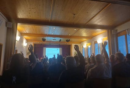 Insights on civic participation from Switzerland