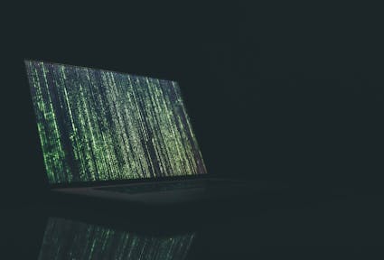 One way or another: How local governments go digital