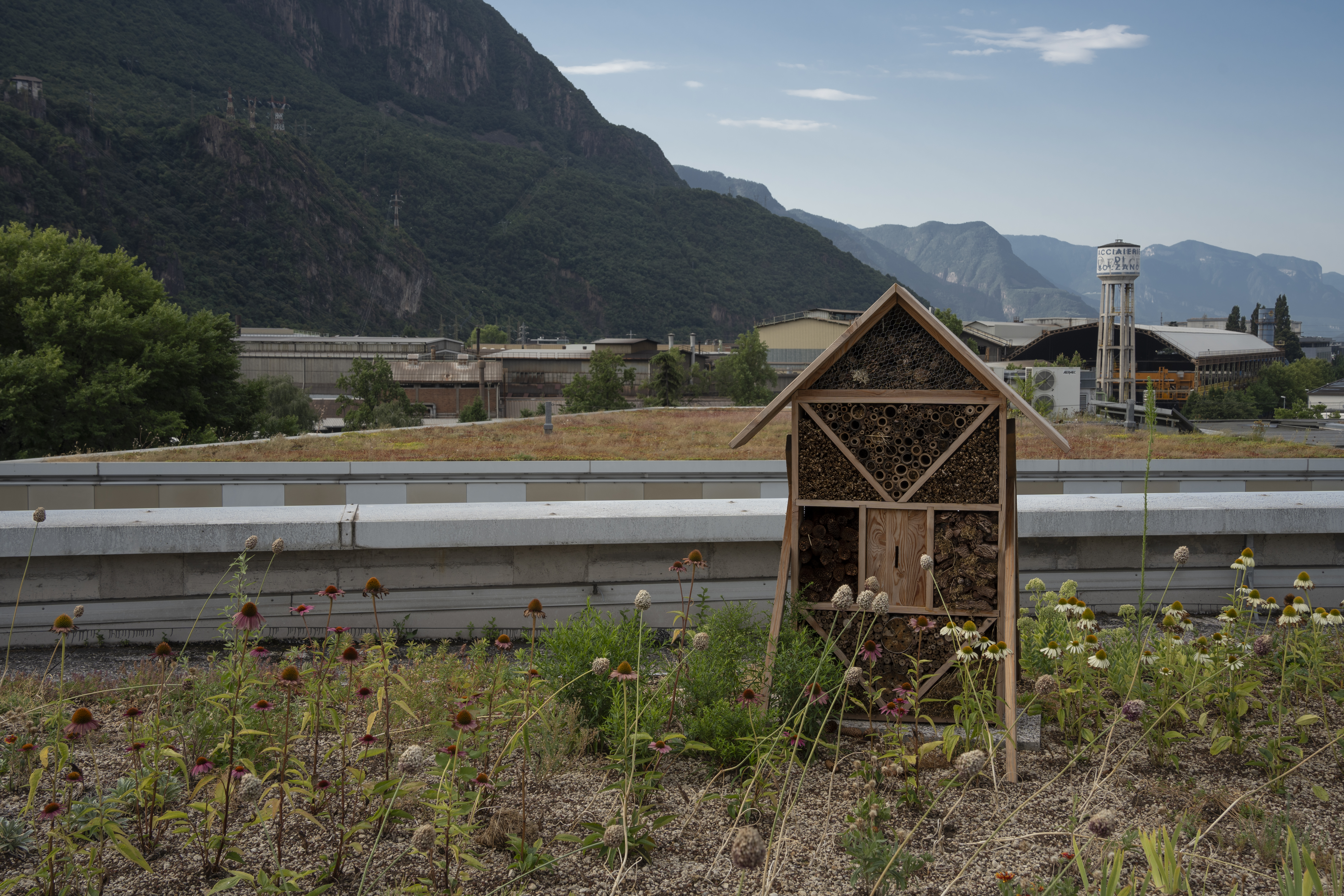 Grünere Städte mit dem europäischen Projekt JUSTNature