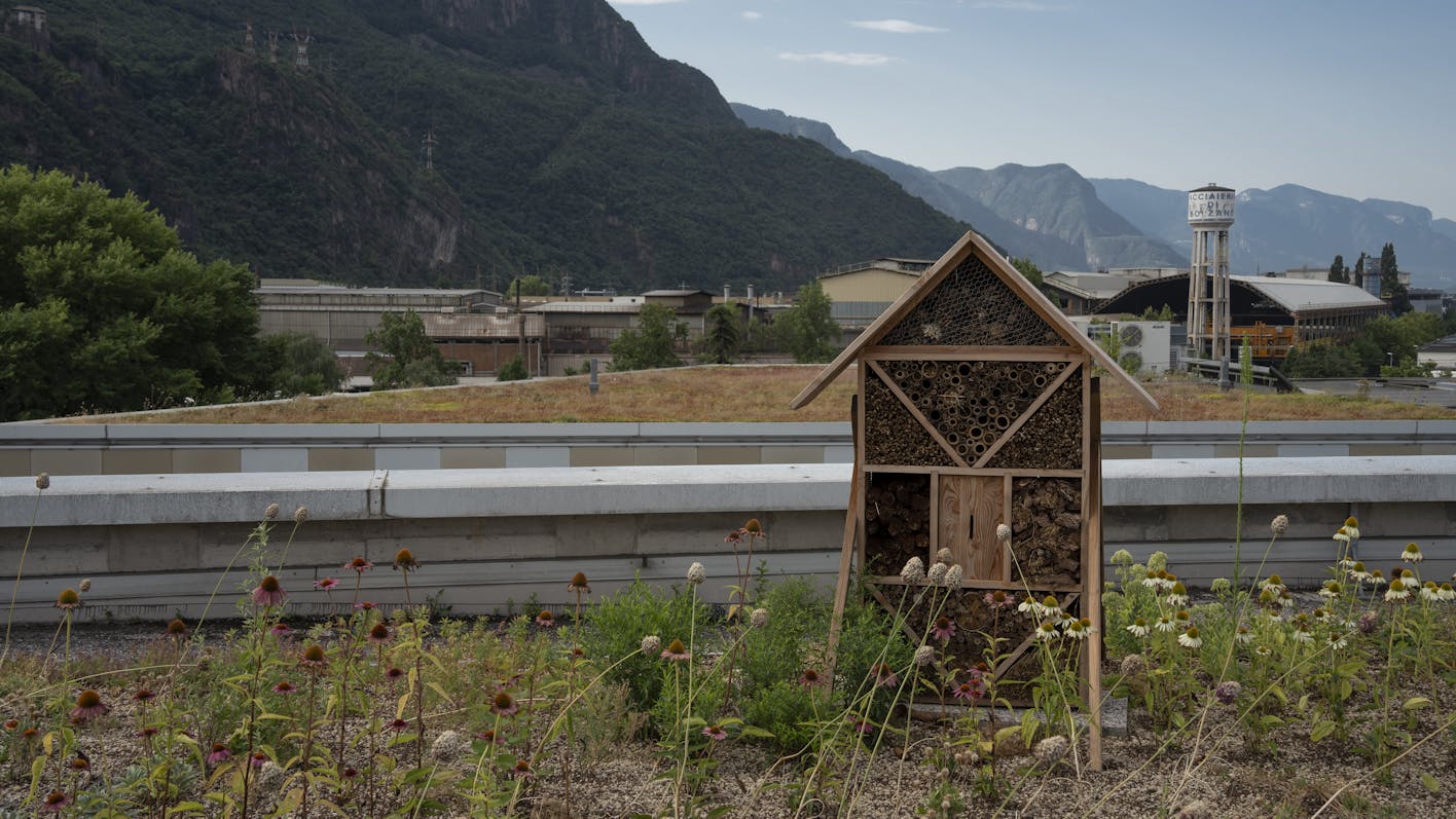 Grünere Städte mit dem europäischen Projekt JUSTNature