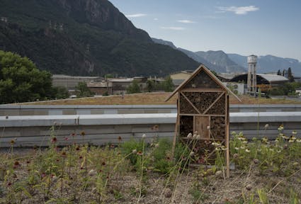 Grünere Städte mit dem europäischen Projekt JUSTNature