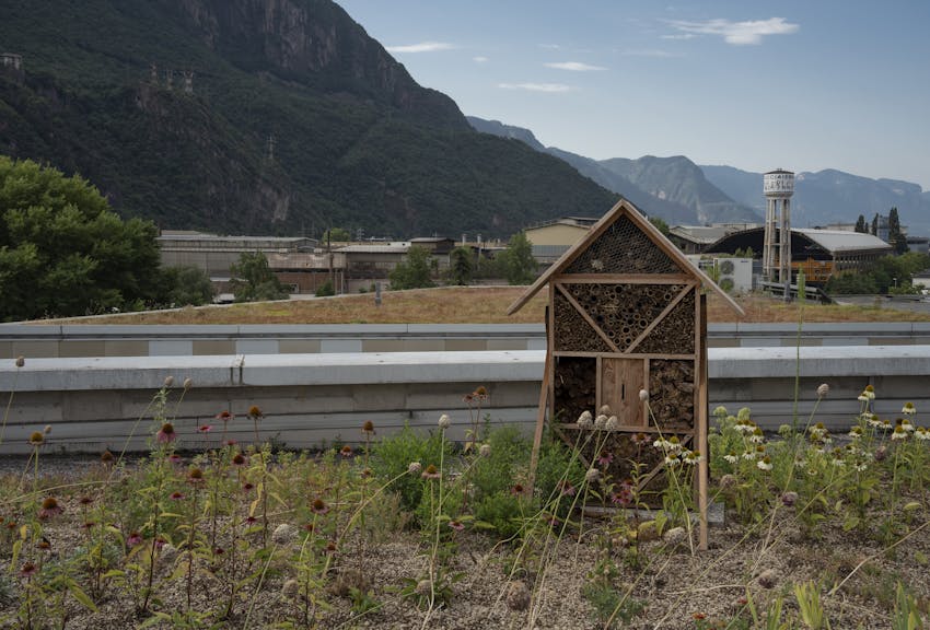Grünere Städte mit dem europäischen Projekt JUSTNature