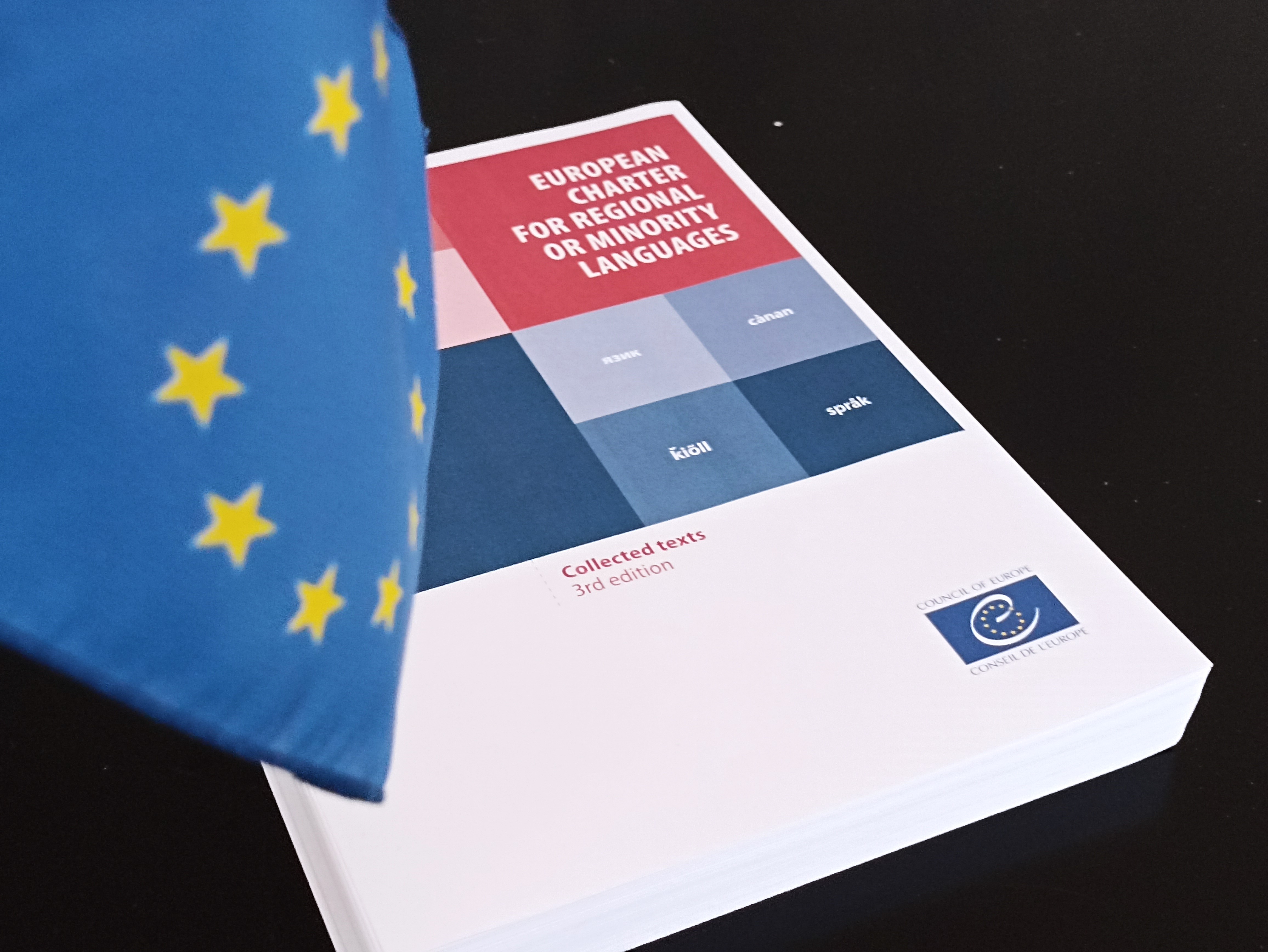 ‘Europe must relearn how to protect minorities.’