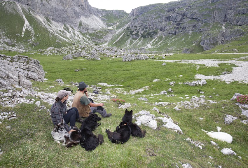 “Se vogliamo preservare i pascoli, dobbiamo sostenere la pastorizia”