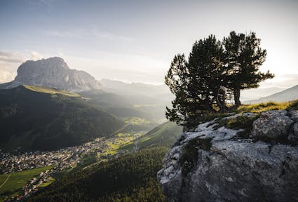 Blick über ein leicht nebelverhangenes Grödental. Im Vordergrund ein Baum auf einem Felsbrocken, in der Ebene sind ein Dorf, im Hintergrund ein Berg sichtbar.