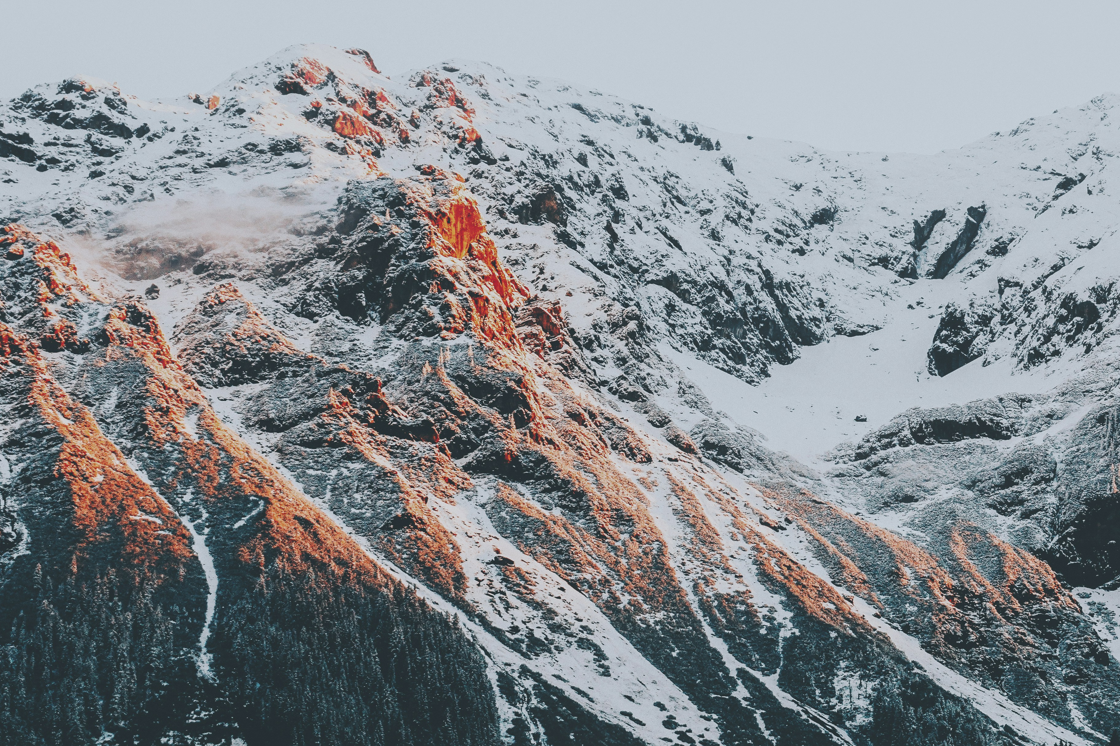  In cento anni le nevicate sulle Alpi sono diminuite di oltre un terzo